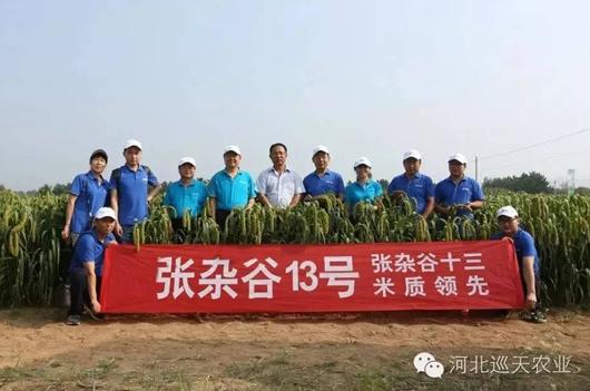 张杂谷新品种观摩暨20162017年度市场启动会成功召开