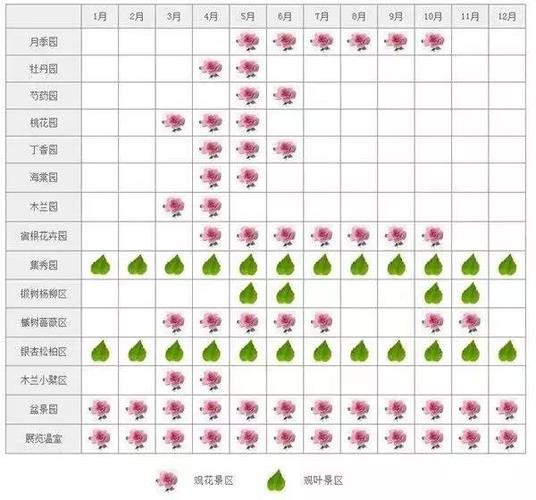 去过那么多次的北京植物园,有什么你真的知道吗?