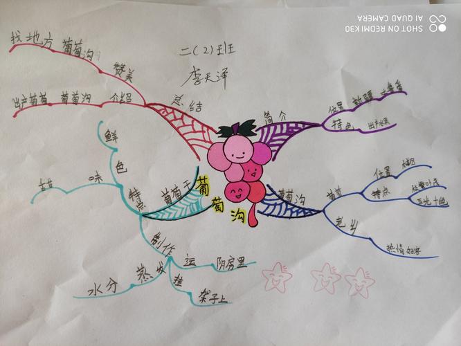 《葡萄沟》思维导图