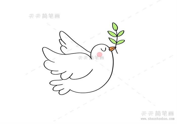 简笔画小学生和平鸽和橄榄枝怎么画和平鸽橄榄枝简笔画法彩色