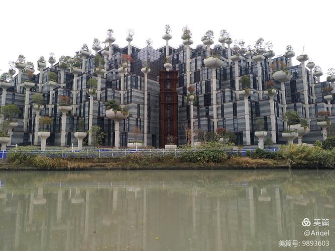 魔都网红: 天安千树
