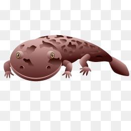 娃娃鱼图片大全