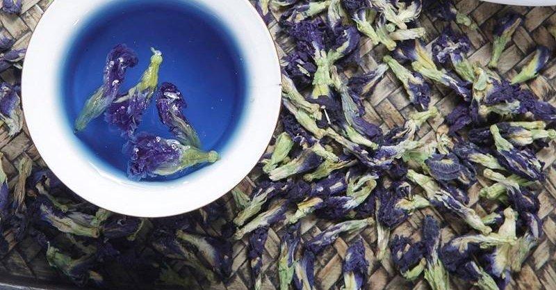 深受大家喜欢的蝶豆花茶,一杯6种功效