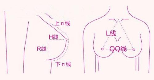 乳房形状那么多,最受欢迎的是哪种?