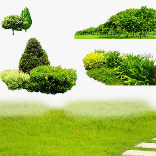 关键词 : 园林素材,草坪,绿色,室外,园林,园艺