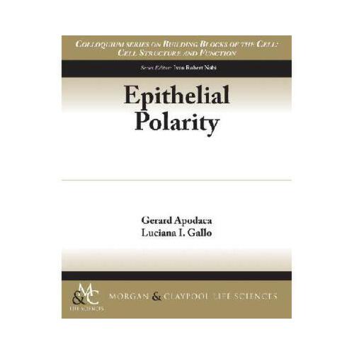 【预订】epithelial polarity