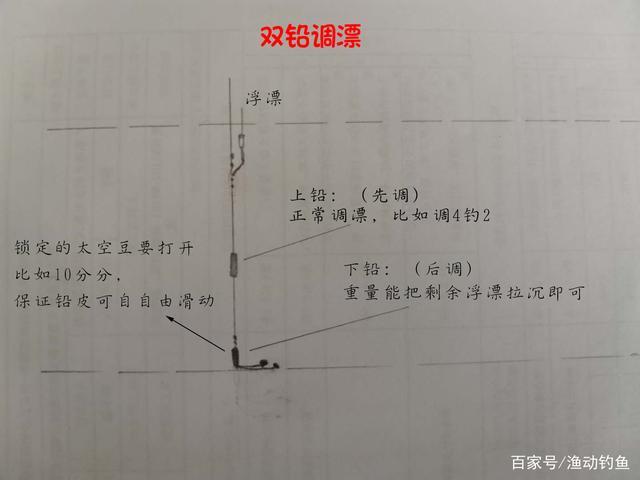 如何钓鲮鱼?饵料搭配与钓法选择,全方位解读,让你从此不再求人