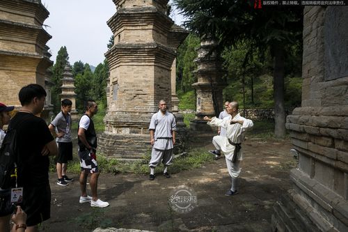 少林寺塔林,前来参拜的影视明星赵文卓正在和武僧交流.