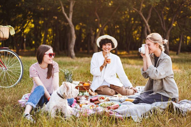 秋日野餐来自秋天的浪漫邀请