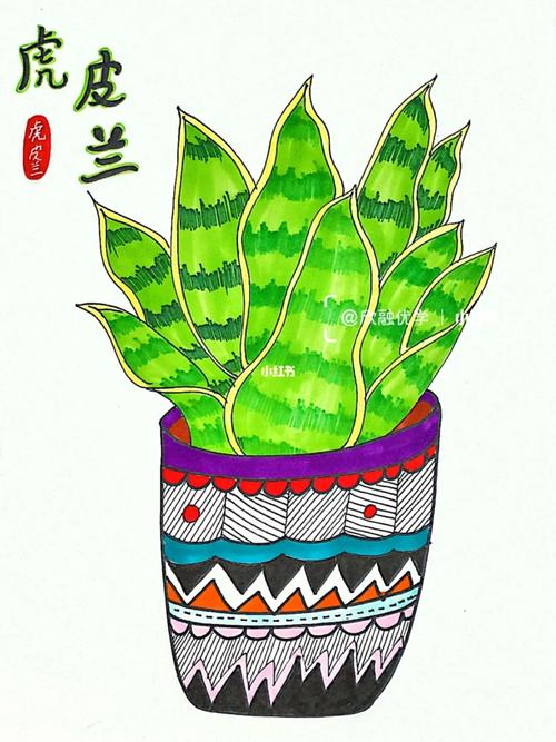 95植物绘画96| 马克笔手绘91虎皮兰_手绘_马克笔_绘画_长沙ifs