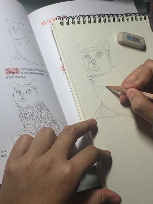 男票照着彩铅书临摹一只猫咪…… 我拍下了全过程