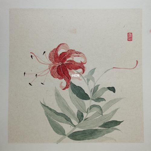 没骨花卉之斑点百合_花卉_百合_文化_绘画