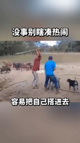 八点半97搞笑(配音):没事少凑热闹,容易把自己搭进去.