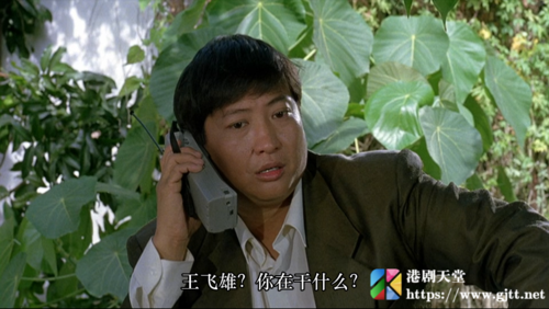 [中国香港][1988][飞龙猛将][成龙/洪金宝/元彪][国粤