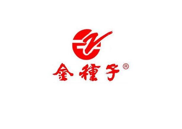 金种子酒:至暗时刻来临?