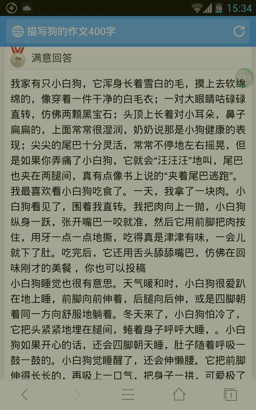 我的小狗豆豆优秀作文