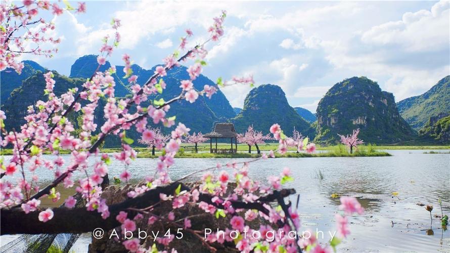 看过《三生三世十里桃花》的小伙伴一定认出来了,这就是取景地普者黑.