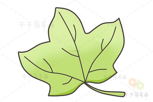 树叶简笔画 简单好学