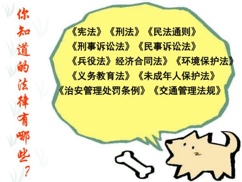 遵纪守法主题班会共35张资料pptppt