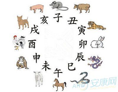 辰所对应的生肖是什么