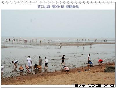 【游记】营口北海浴场