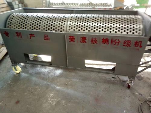 核桃分级机