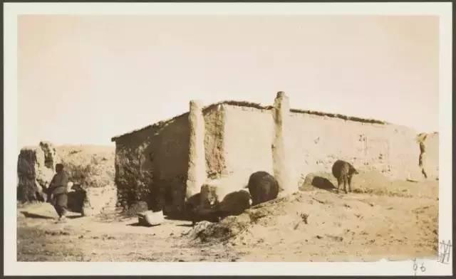 史上最全张掖老照片,你见过吗?