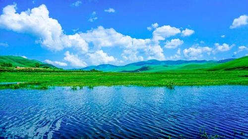 雄安周边最美的八大草原,蓝天白云青草,凉爽美丽好玩,最适合自驾!