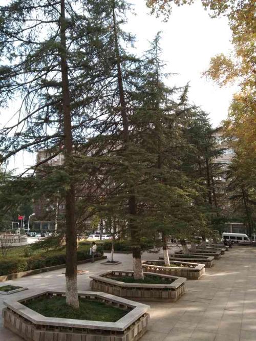 武汉理工大学(马房山校区)