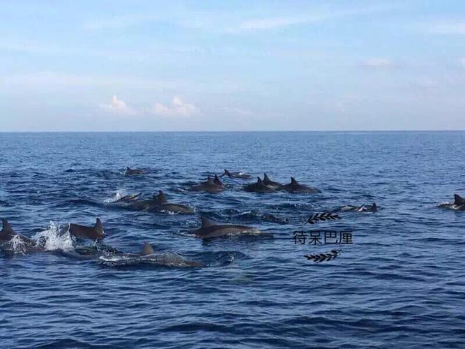在巴厘岛只能待四天 怎么安排路线比较好