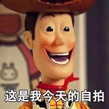 这是我今天的自拍系列表情包