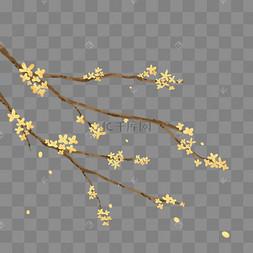 古风手绘秋天桂花树枝插画