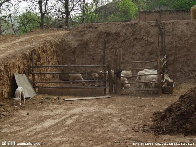 羊圈的羊群图片[摄影图,jpg]; 羊圈图片_羊圈建设图片,小型羊圈建设
