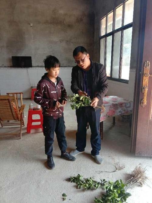 衡阳县三湖镇:发展庭院经济 助力脱贫增收