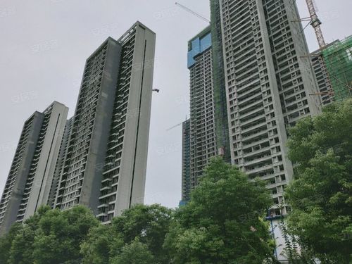 星湖湾及君怡公馆,中一路-武汉星湖湾及君怡公馆二手