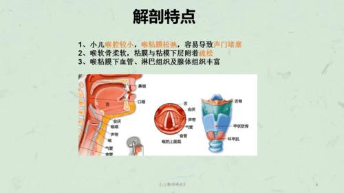 小儿急性喉炎8课件