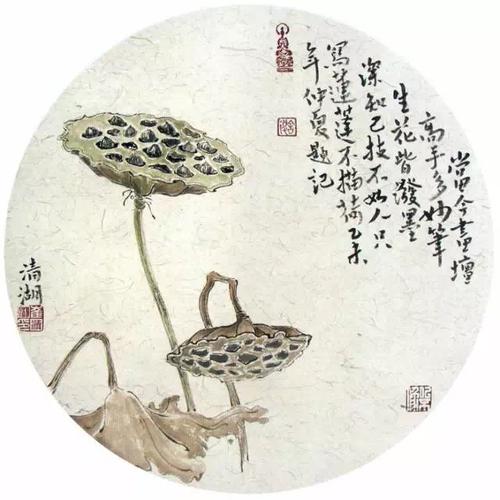 崔清湖 33×33 国画 莲蓬