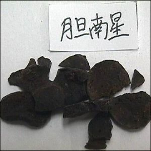 胆南星提取物