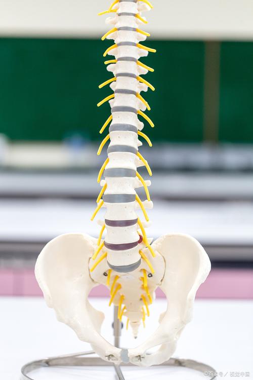 骨质疏松"很怕"一种水,你若爱喝,赶走腰背痛,骨会"感谢"你