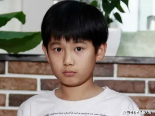 原创有种整容叫童星长大胡先煦精致吴磊帅气看见他男神