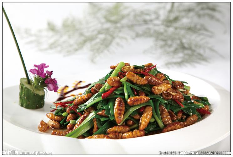 雄蚕蛾炒韭菜图片