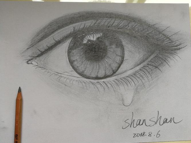 潘珊珊作品3号:流泪眼望流泪眼.