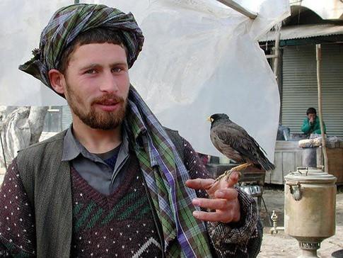 巴基斯坦的人是长什么样子的?