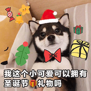 圣诞表情包我可以拥有圣诞礼物吗