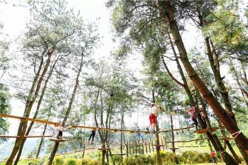 香纸沟水上乐园大趴,100张门票马上抢