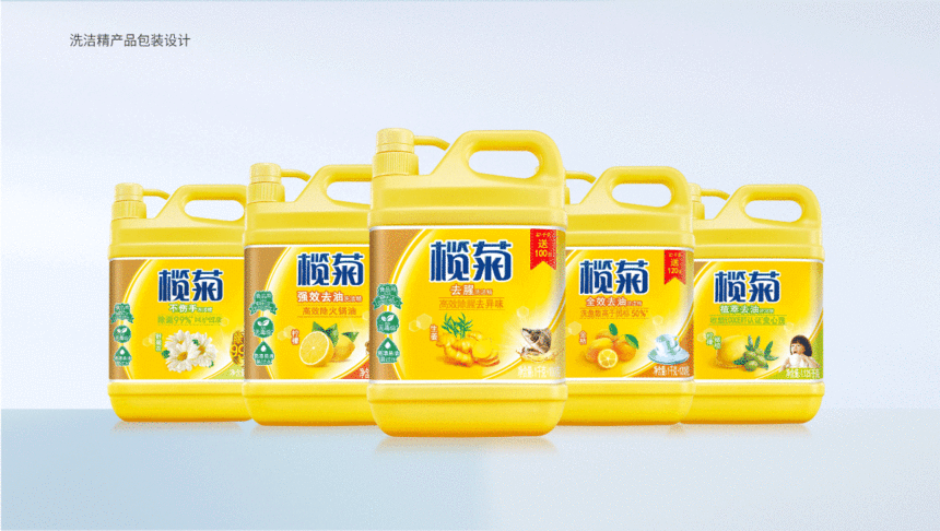 榄菊日化品牌全案策划