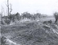 河南焦作府城商代早期遗址