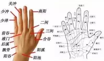 手背三角区   治疗手麻