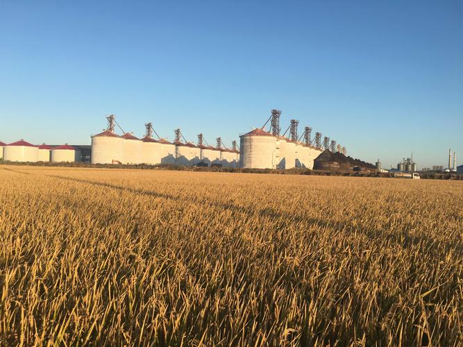 北大荒中华大粮仓