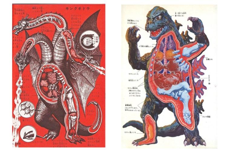 【集体回忆】南村乔之的日本怪兽身体结构图解!